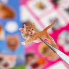 Close-up of an orange cat sticker being held with tweezers against colorful cat sticker sheets