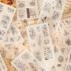 Assorted transparent and washi sticker sheets with botanical, celestial, and vintage line drawings