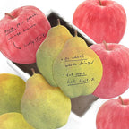 Fruit Notes sticky notes page detail with illustrated shaped memo pads for labels and planner reminders.