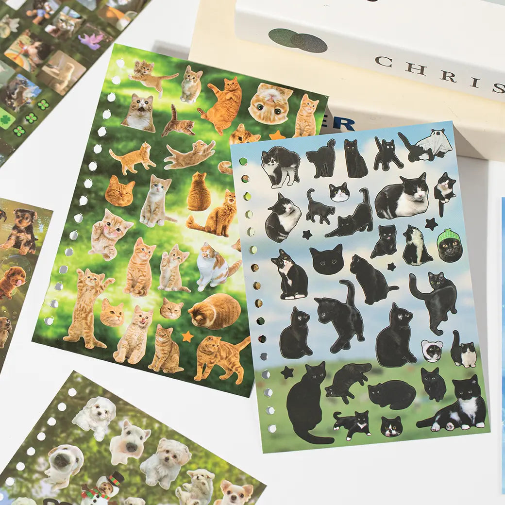 Orange cat and black cat sticker sheets with assorted cat poses