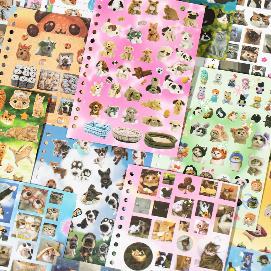 Playful cat and dog sticker sheets with photo-style pets and cute decorative designs